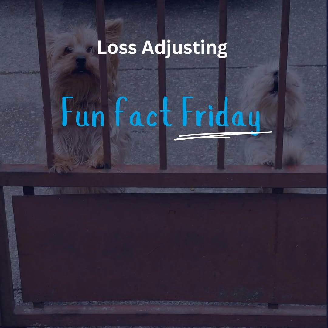 Ensure Recruitment Recruitment Image