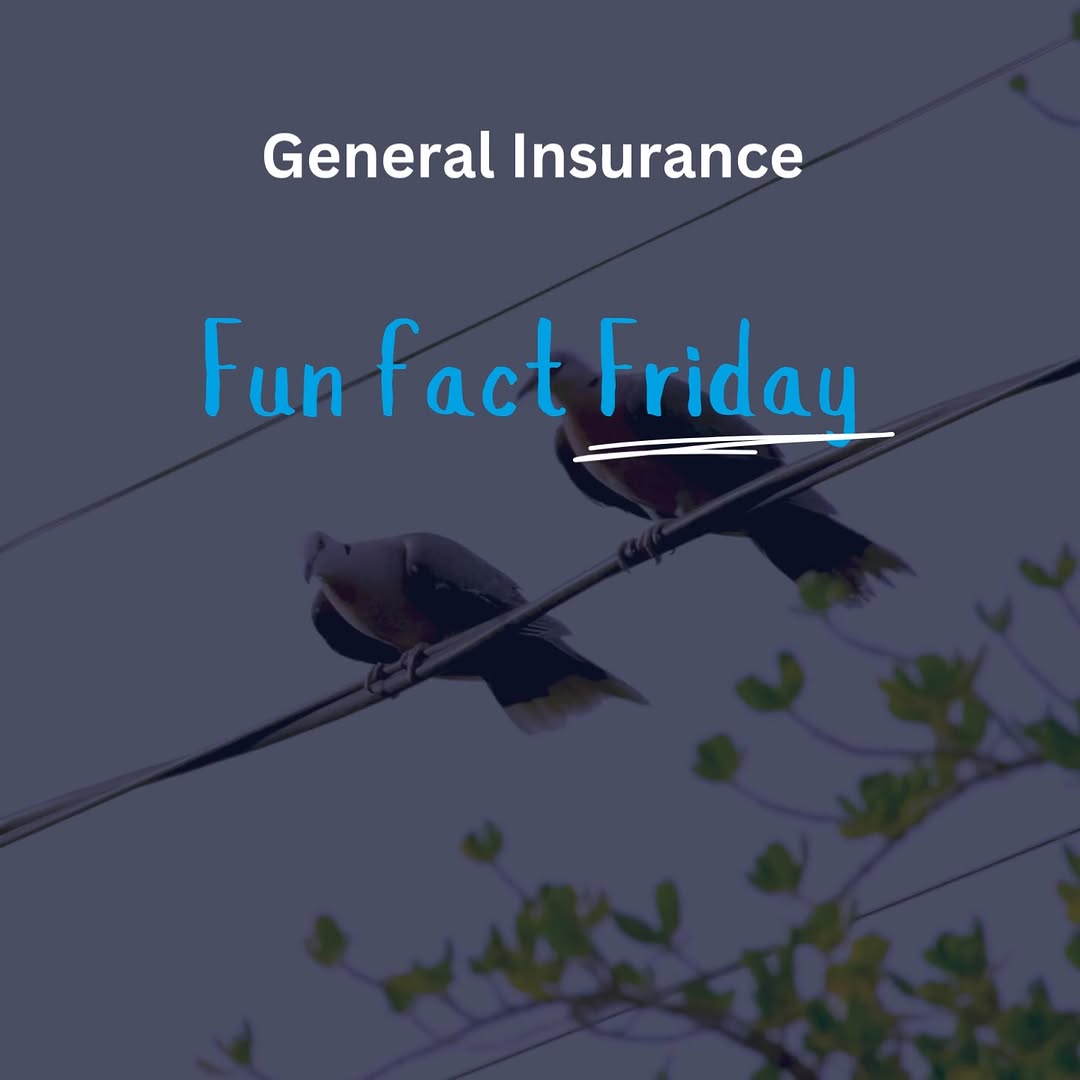 Ensure Recruitment Recruitment Image